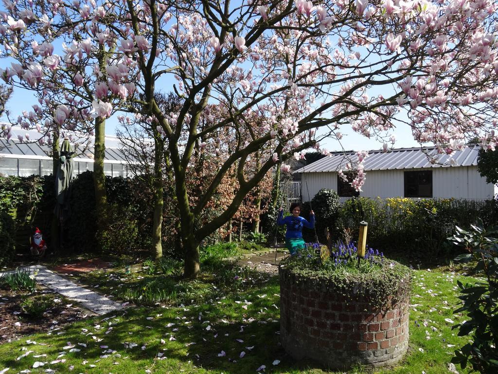 Hostellerie Daiseldaele Dadizele Buitenkant foto